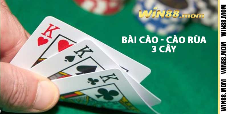 Bài cào - Cào rùa - 3 Cây